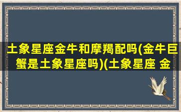 土象星座金牛和摩羯配吗(金牛巨蟹是土象星座吗)(土象星座 金牛座)